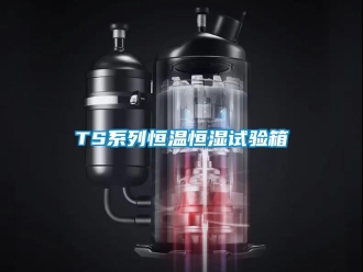 常見問題TS系列恒溫恒濕試驗箱