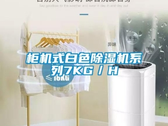 行業新聞柜機式白色除濕機系列7KG／H