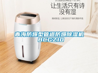 企業新聞青海防爆型管道防爆除濕機 BCGZ10