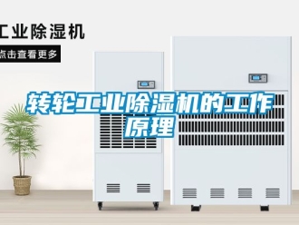 常見問題轉(zhuǎn)輪工業(yè)除濕機的工作原理