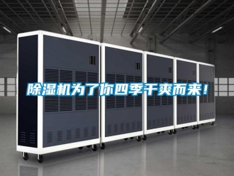 行業(yè)新聞除濕機(jī)為了你四季干爽而來(lái)！