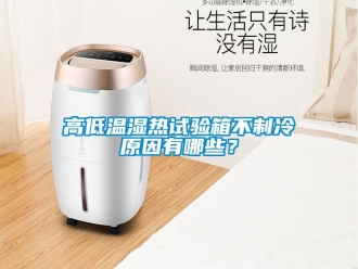 常見問題高低溫濕熱試驗(yàn)箱不制冷原因有哪些？