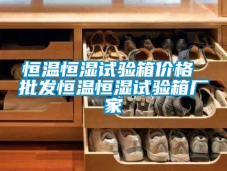 知識百科恒溫恒濕試驗(yàn)箱價(jià)格 批發(fā)恒溫恒濕試驗(yàn)箱廠家