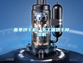行業新聞面條烘干機，手工面烘干除濕機