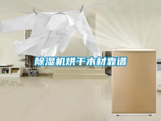 行業新聞除濕機烘干木材靠譜