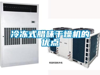 行業(yè)新聞冷凍式臘味干燥機的優(yōu)點