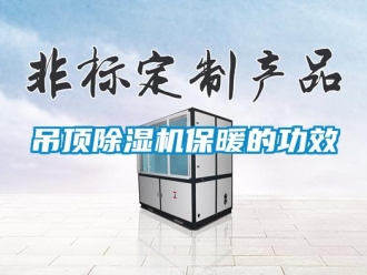 企業(yè)新聞吊頂除濕機(jī)保暖的功效