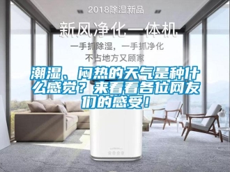 企業新聞潮濕、悶熱的天氣是種什么感覺？來看看各位網友們的感受！