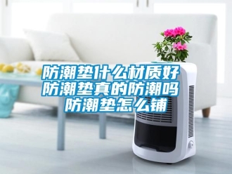 常見問題防潮墊什么材質(zhì)好 防潮墊真的防潮嗎 防潮墊怎么鋪