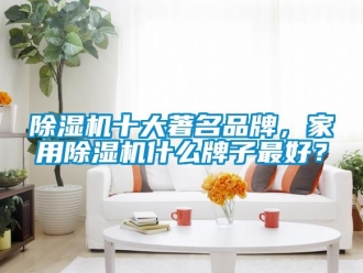企業(yè)新聞除濕機十大著名品牌，家用除濕機什么牌子最好？