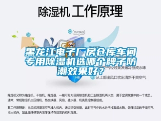企業新聞黑龍江電子廠房倉庫車間專用除濕機選哪個牌子防潮效果好？