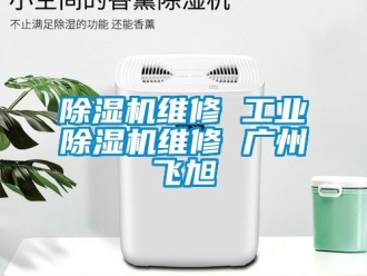 常見問題除濕機維修 工業除濕機維修 廣州飛旭
