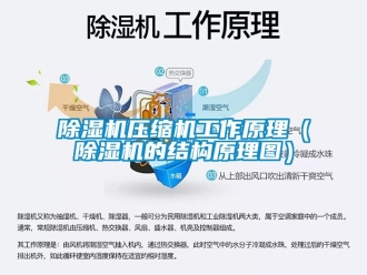 行業新聞除濕機壓縮機工作原理（除濕機的結構原理圖）