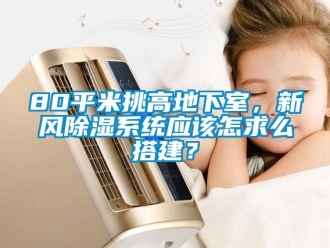 企業(yè)新聞80平米挑高地下室，新風除濕系統(tǒng)應該怎求么搭建？