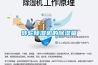 轉輪除濕機的除濕量