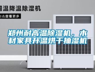 行業(yè)新聞鄭州耐高溫除濕機(jī)，木材家具升溫烘干抽濕機(jī)