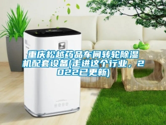 常見問題重慶松越藥品車間轉(zhuǎn)輪除濕機配套設(shè)備(走進這個行業(yè)，2022已更新)