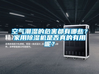 常見(jiàn)問(wèn)題空氣潮濕的危害都有哪些？家用除濕機(jī)是否真的有用呢？