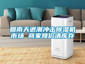 行業新聞回南天退潮沖擊除濕機市場 商家降價清庫存