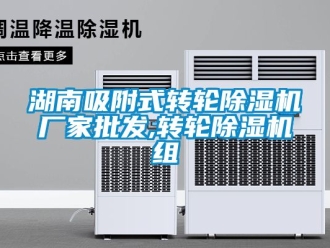 企業新聞湖南吸附式轉輪除濕機廠家批發,轉輪除濕機組
