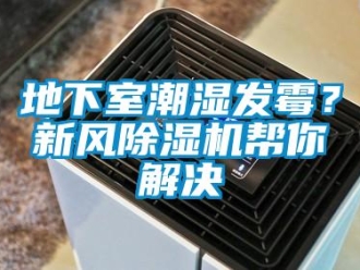 企業新聞地下室潮濕發霉？新風除濕機幫你解決