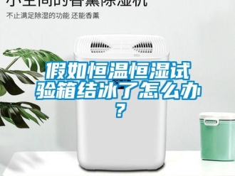 常見問題假如恒溫恒濕試驗箱結(jié)冰了怎么辦？
