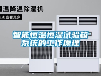 知識百科智能恒溫恒濕試驗箱系統的工作原理