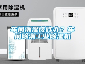 常見問題車間潮濕該咋辦？車間除潮工業(yè)除濕機(jī)