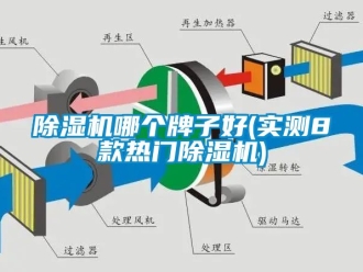 行業新聞除濕機哪個牌子好(實測8款熱門除濕機)