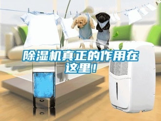 行業新聞除濕機真正的作用在這里！