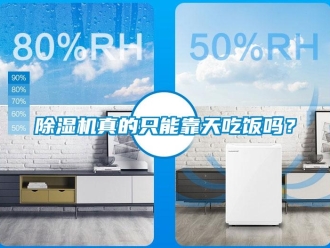 常見(jiàn)問(wèn)題除濕機(jī)真的只能靠天吃飯嗎？