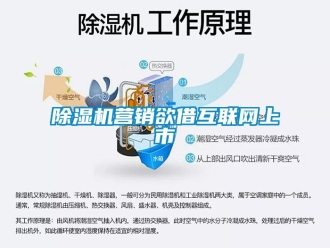 企業(yè)新聞除濕機(jī)營銷欲借互聯(lián)網(wǎng)上市