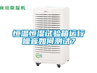 知識百科恒溫恒濕試驗箱運行噪音如何測試？