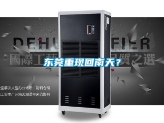 企業(yè)新聞東莞重現(xiàn)回南天？