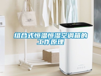 知識百科組合式恒溫恒濕空調箱的工作原理