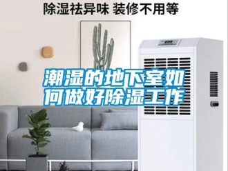 常見問題潮濕的地下室如何做好除濕工作