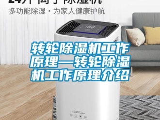 常見問題轉輪除濕機工作原理—轉輪除濕機工作原理介紹