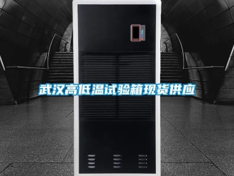 常見問題武漢高低溫試驗(yàn)箱現(xiàn)貨供應(yīng)