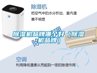 企業新聞除濕機品牌哪個好（除濕機品牌）