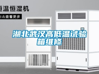 常見問題湖北武漢高低溫試驗箱維修