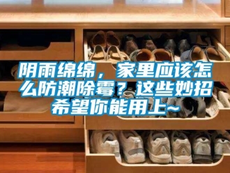 常見(jiàn)問(wèn)題陰雨綿綿，家里應(yīng)該怎么防潮除霉？這些妙招希望你能用上~
