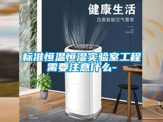 常見問題標(biāo)準(zhǔn)恒溫恒濕實(shí)驗(yàn)室工程需要注意什么-