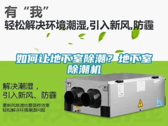 常見問題如何讓地下室除潮？地下室除潮機