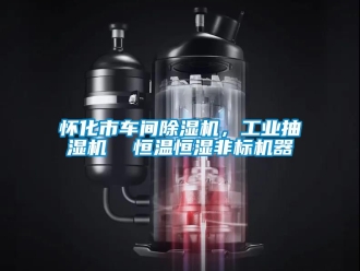 常見問題懷化市車間除濕機，工業抽濕機  恒溫恒濕非標機器