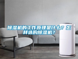 企業新聞除濕機的工作原理是什么？怎樣選購除濕機？