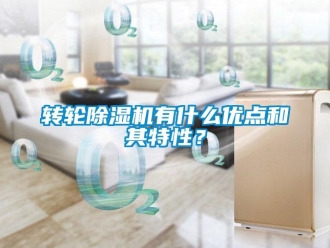知識(shí)百科轉(zhuǎn)輪除濕機(jī)有什么優(yōu)點(diǎn)和其特性？