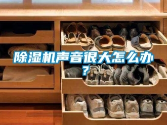 常見問題除濕機聲音很大怎么辦？