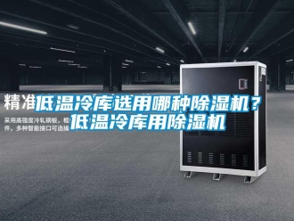 企業新聞低溫冷庫選用哪種除濕機？低溫冷庫用除濕機