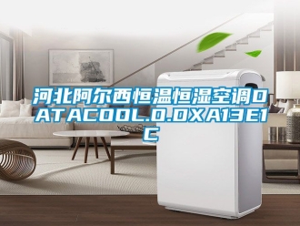 知識(shí)百科河北阿爾西恒溫恒濕空調(diào)DATACOOL.O.DXA13E1C