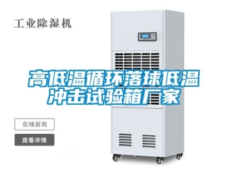 常見問題高低溫循環落球低溫沖擊試驗箱廠家